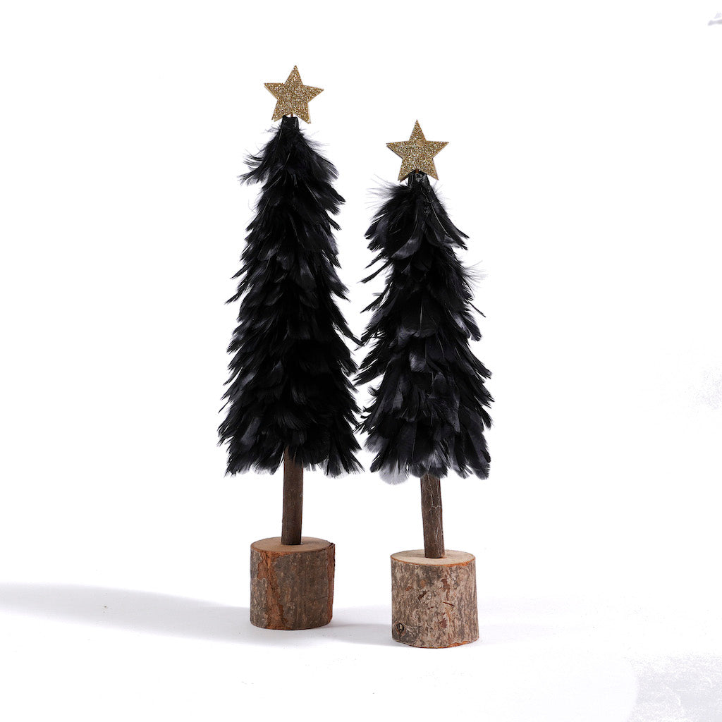 alberi-neri-piume