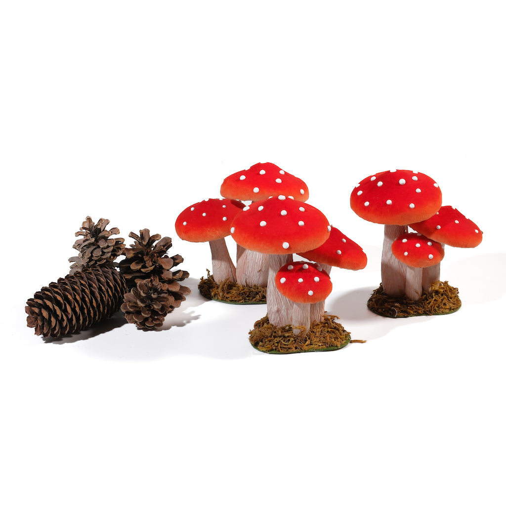 TRIS DI FUNGHI A POIS