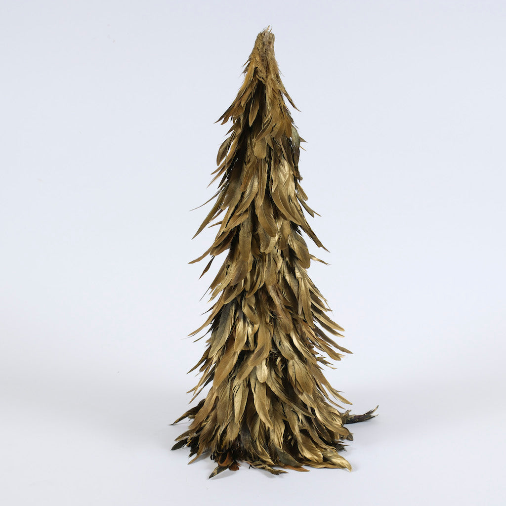 alberi-piumati