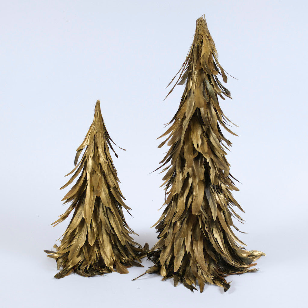 alberi-piumati
