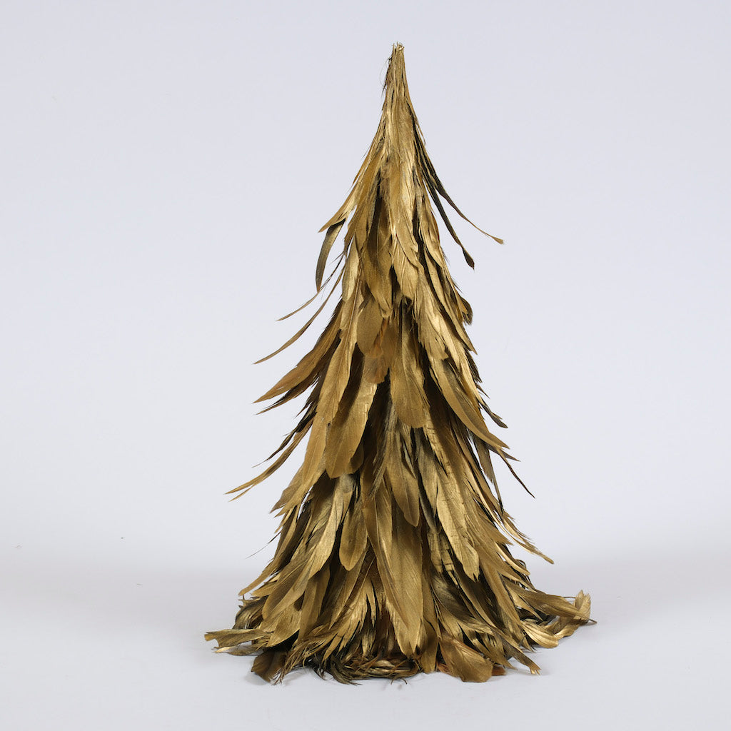 alberi-piumati