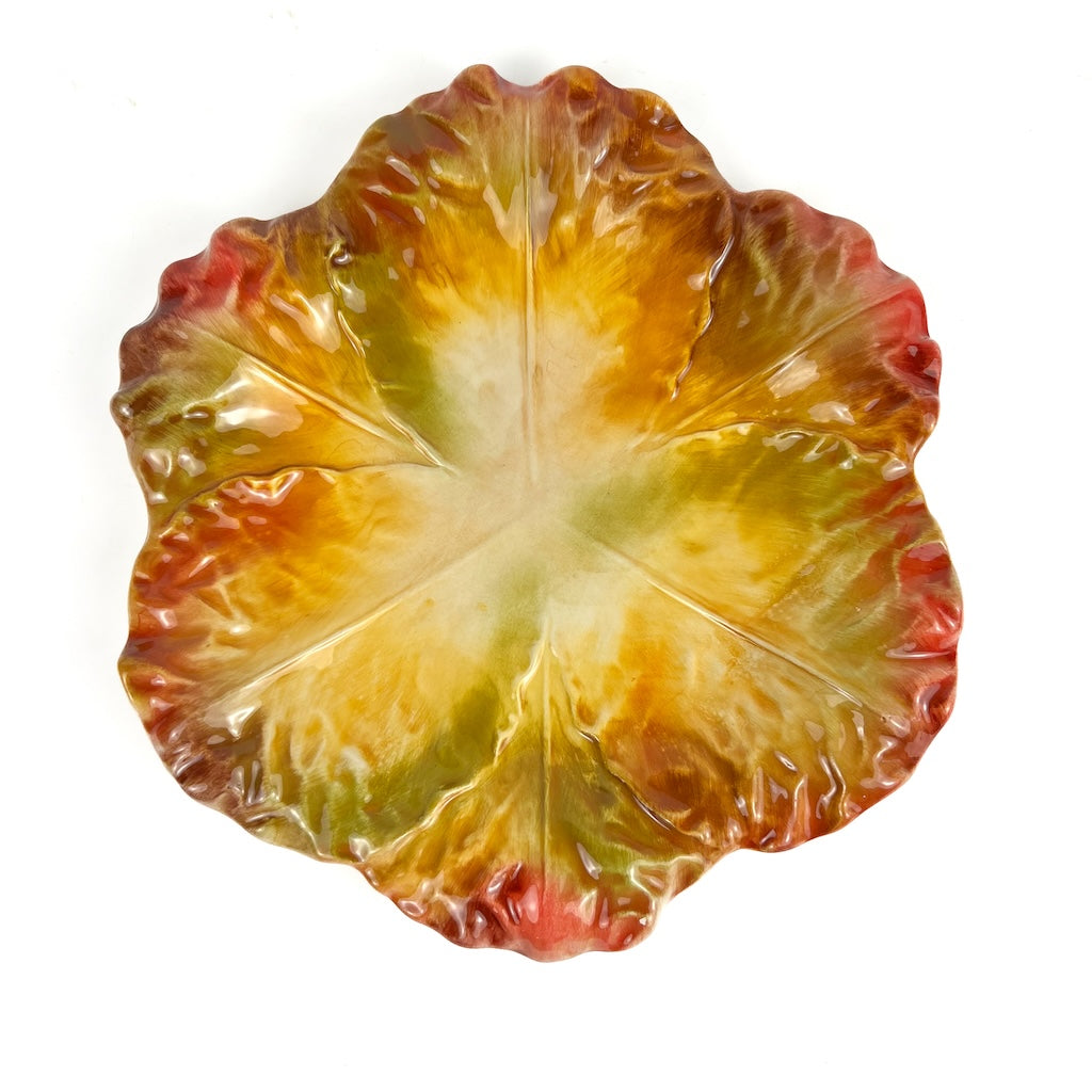 SET DI 6 SOTTOPIATTI "CAVOLO VERZA AUTUNNO"