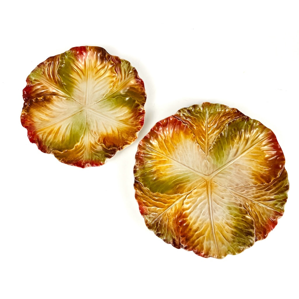 SET DI 6 PIATTI PIANI "CAVOLO VERZA AUTUNNO"