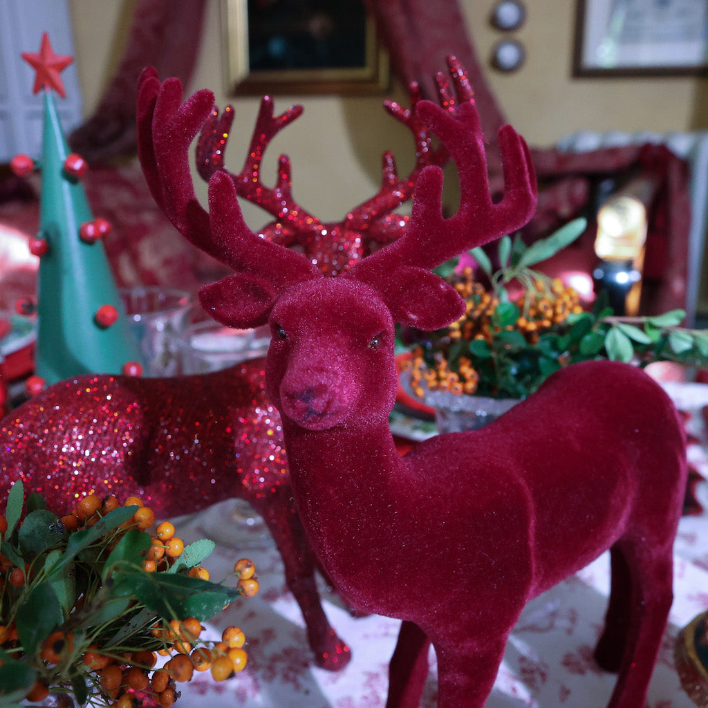 MAXI ABETI “CAMPANELLI”