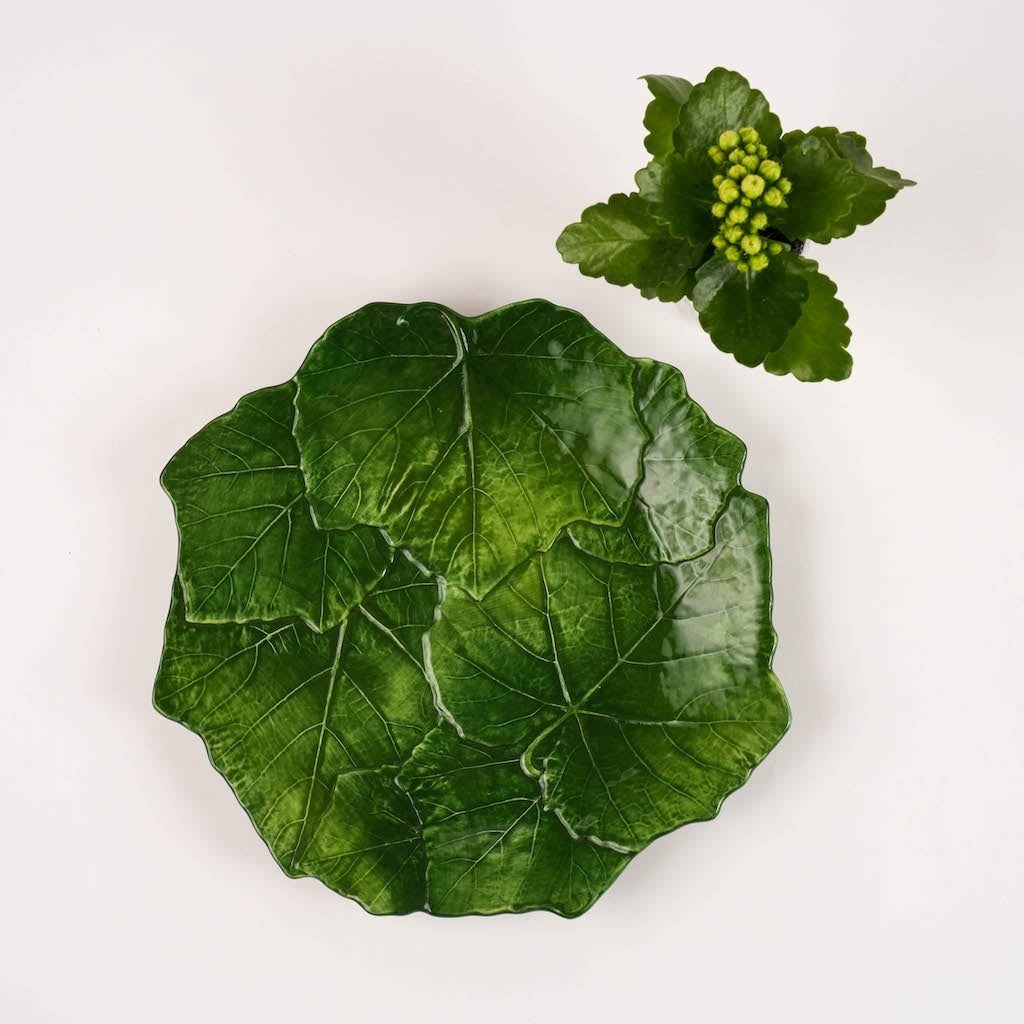 piatto piano verde foglia vite