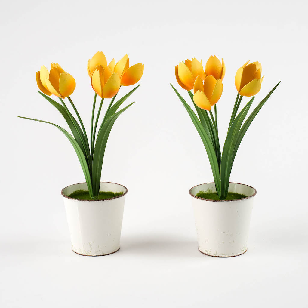 vasi tulipani gialli