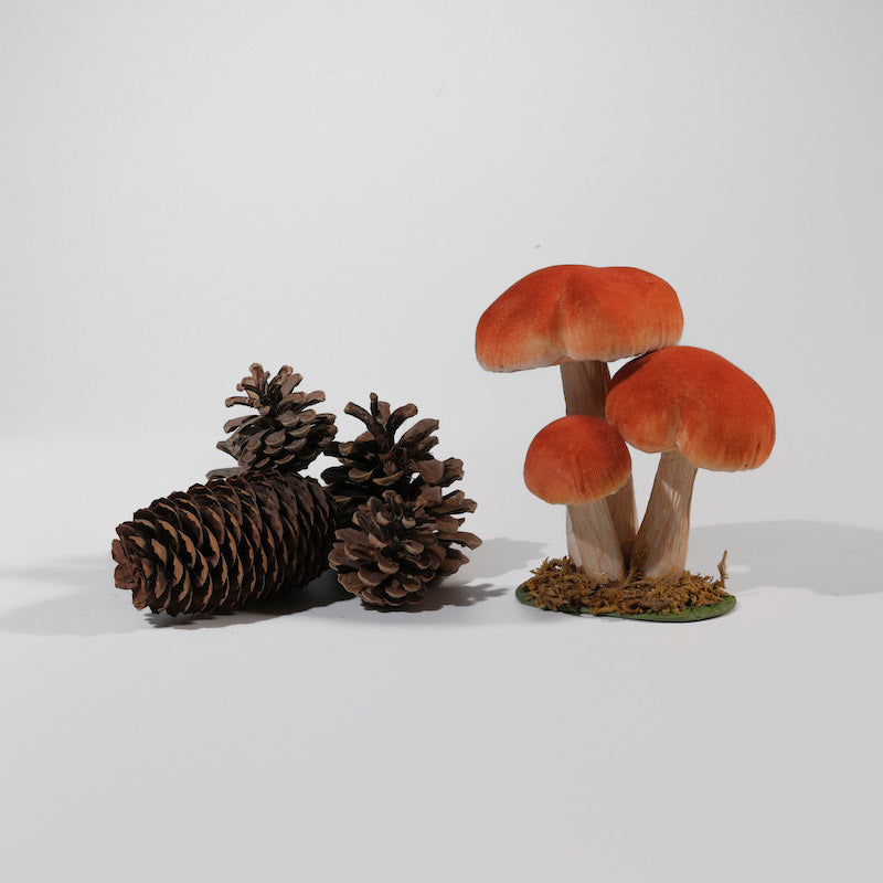 funghi-porcini