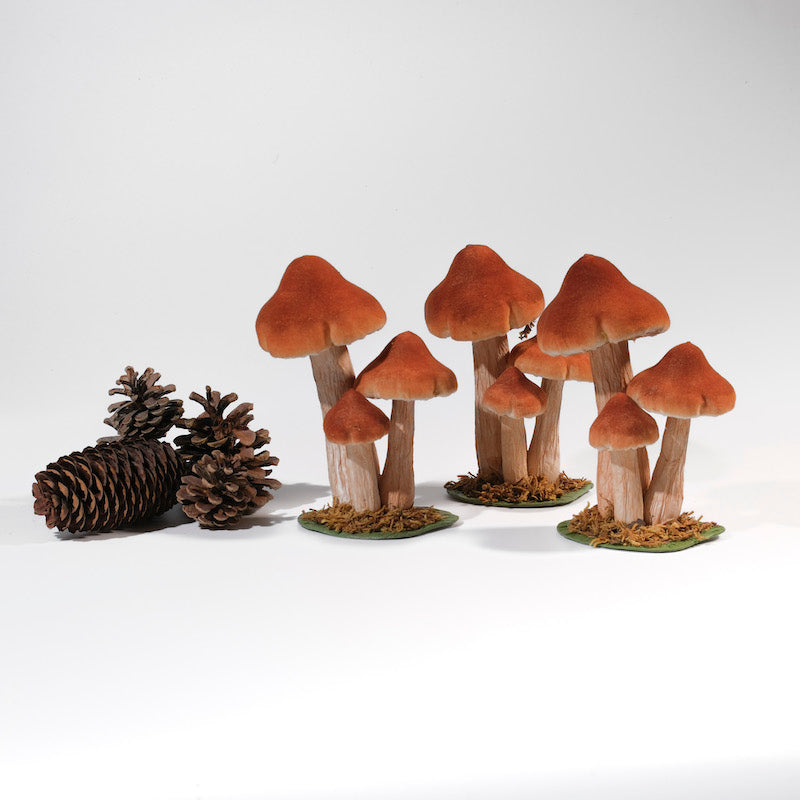 funghi magici