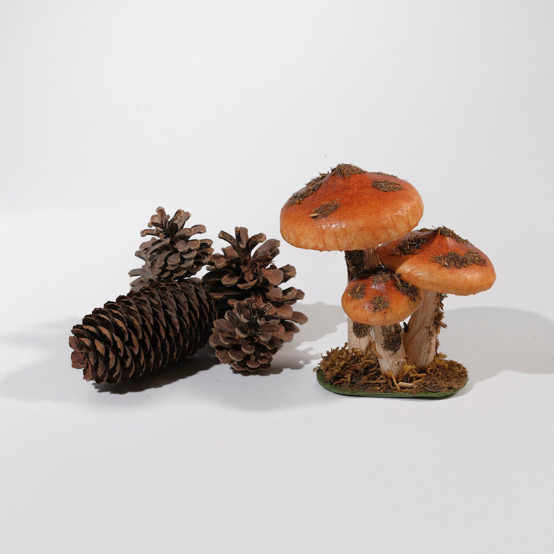 TRIS DI FUNGHI VELENOSI DECORATIVI