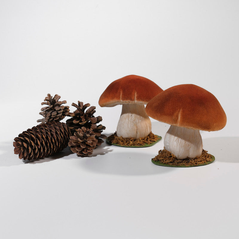 funghi porcini