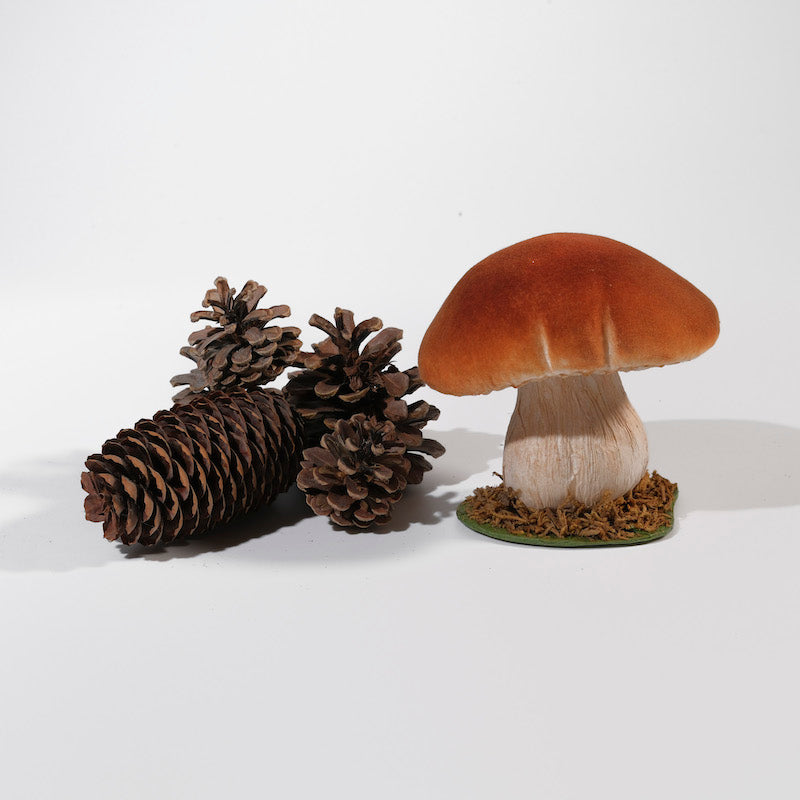 funghi-porcini