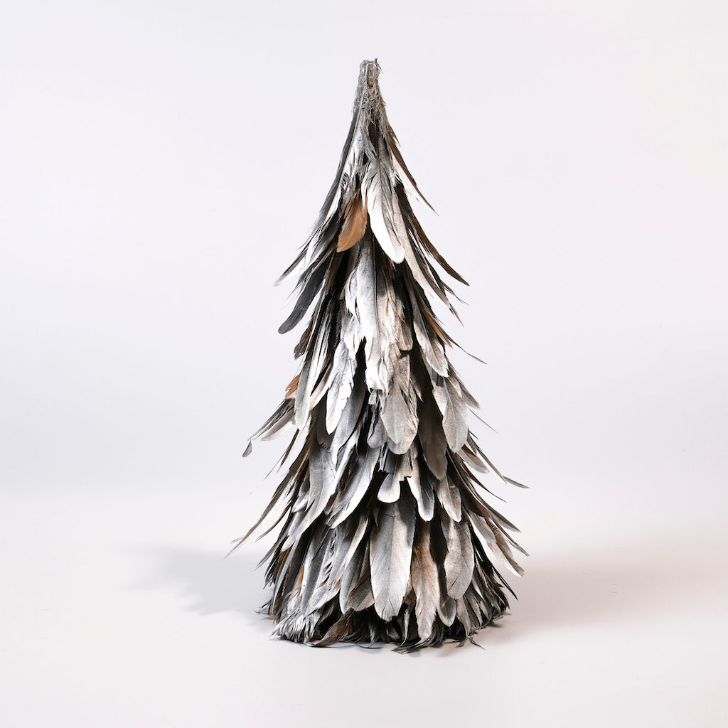 alberi-piumati