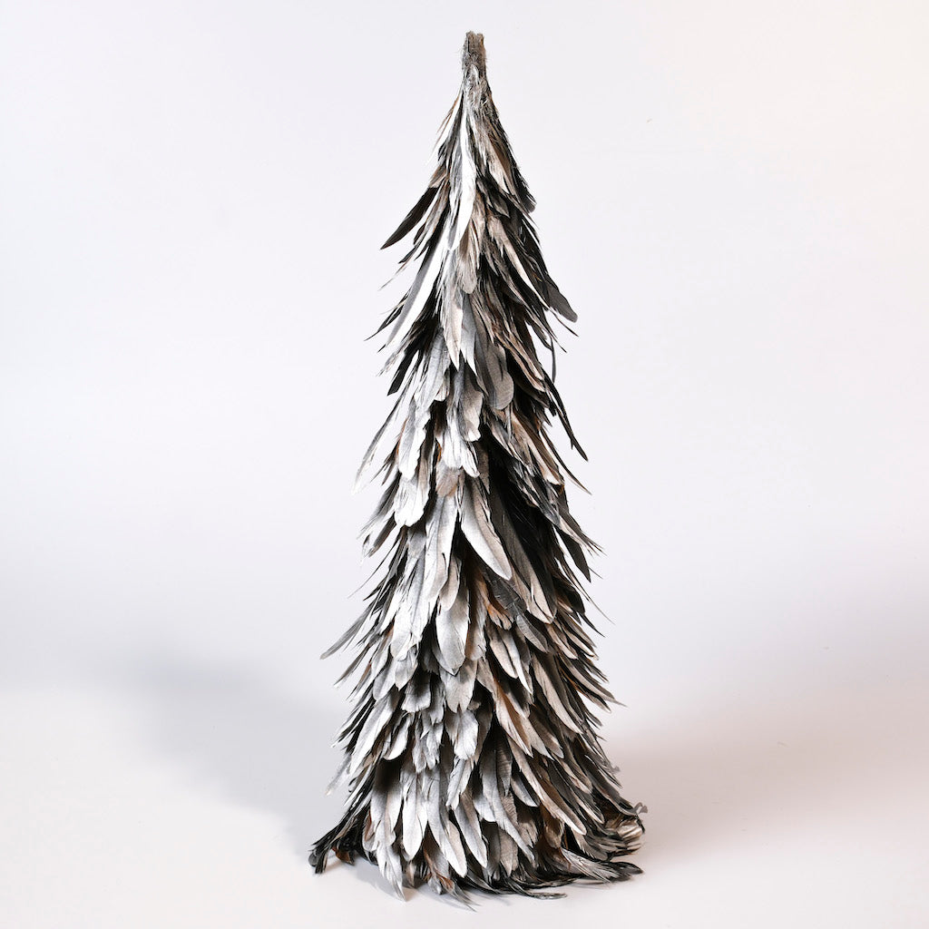 alberi-piumati