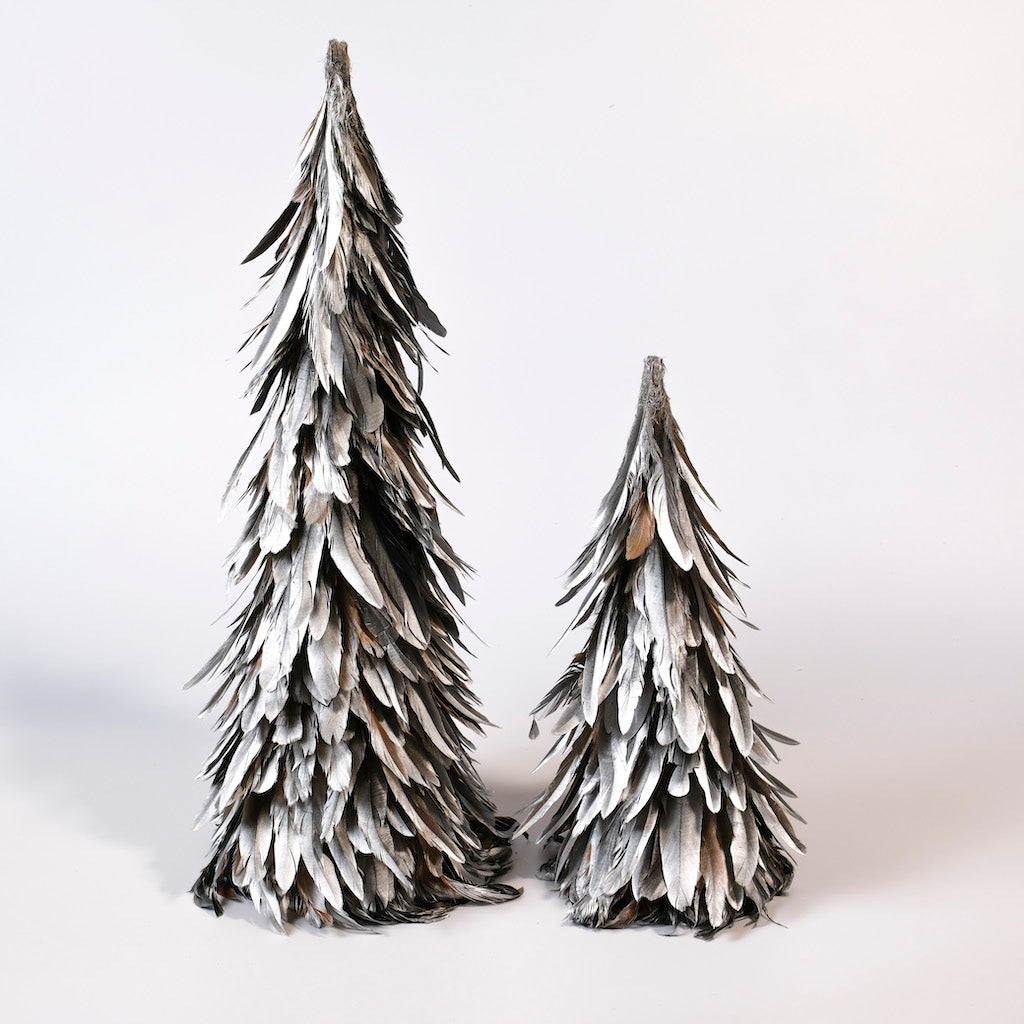 alberi-piumati