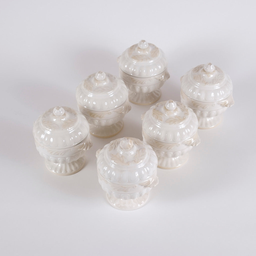 SET DI 6 ZUPPIERE MONOPORZIONE "GIARDINO D'INVERNO"