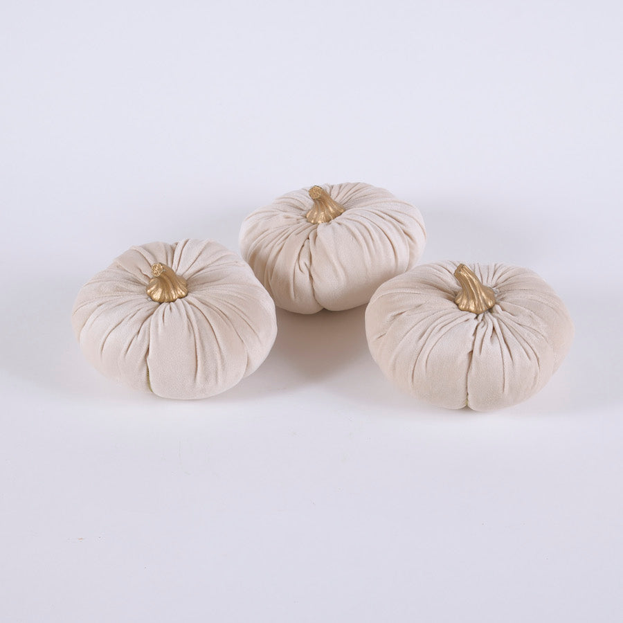 SET 3 MINI ZUCCHE “WHITE”