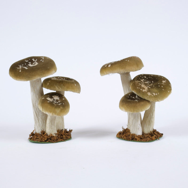 funghi-verdi