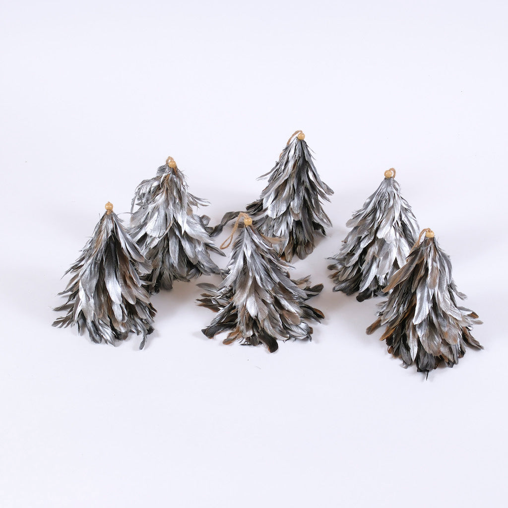 alberi-piumati