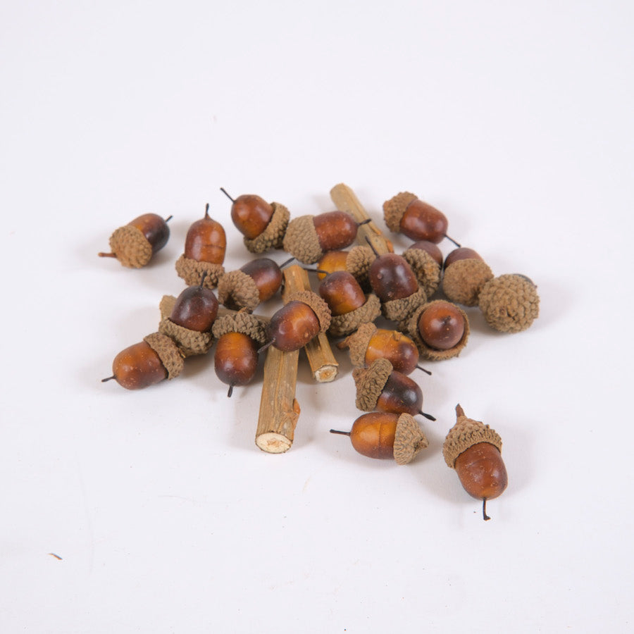 castagne