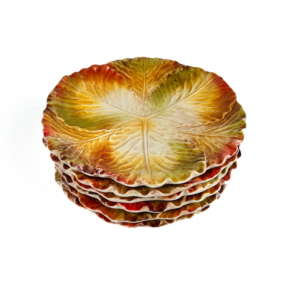 SET DI 6 PIATTI PIANI "CAVOLO VERZA AUTUNNO"