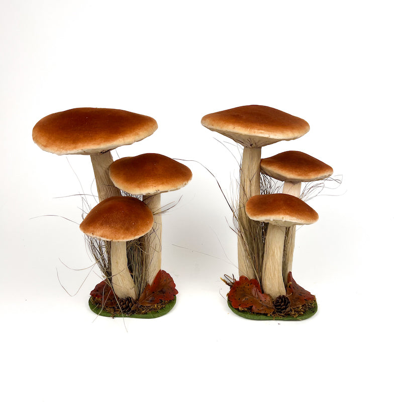 COPPIA DI MAXI FUNGHI RUSSULA