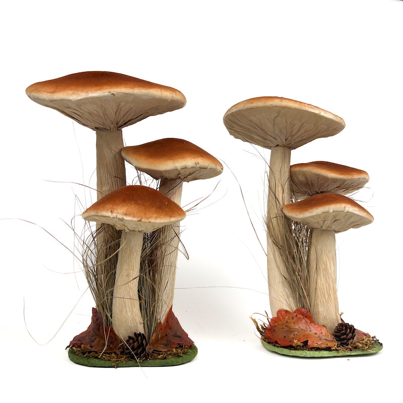 COPPIA DI MAXI FUNGHI RUSSULA