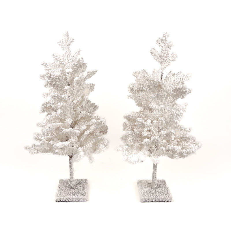 COPPIA DI ALBERI BIANCHI INNEVATI