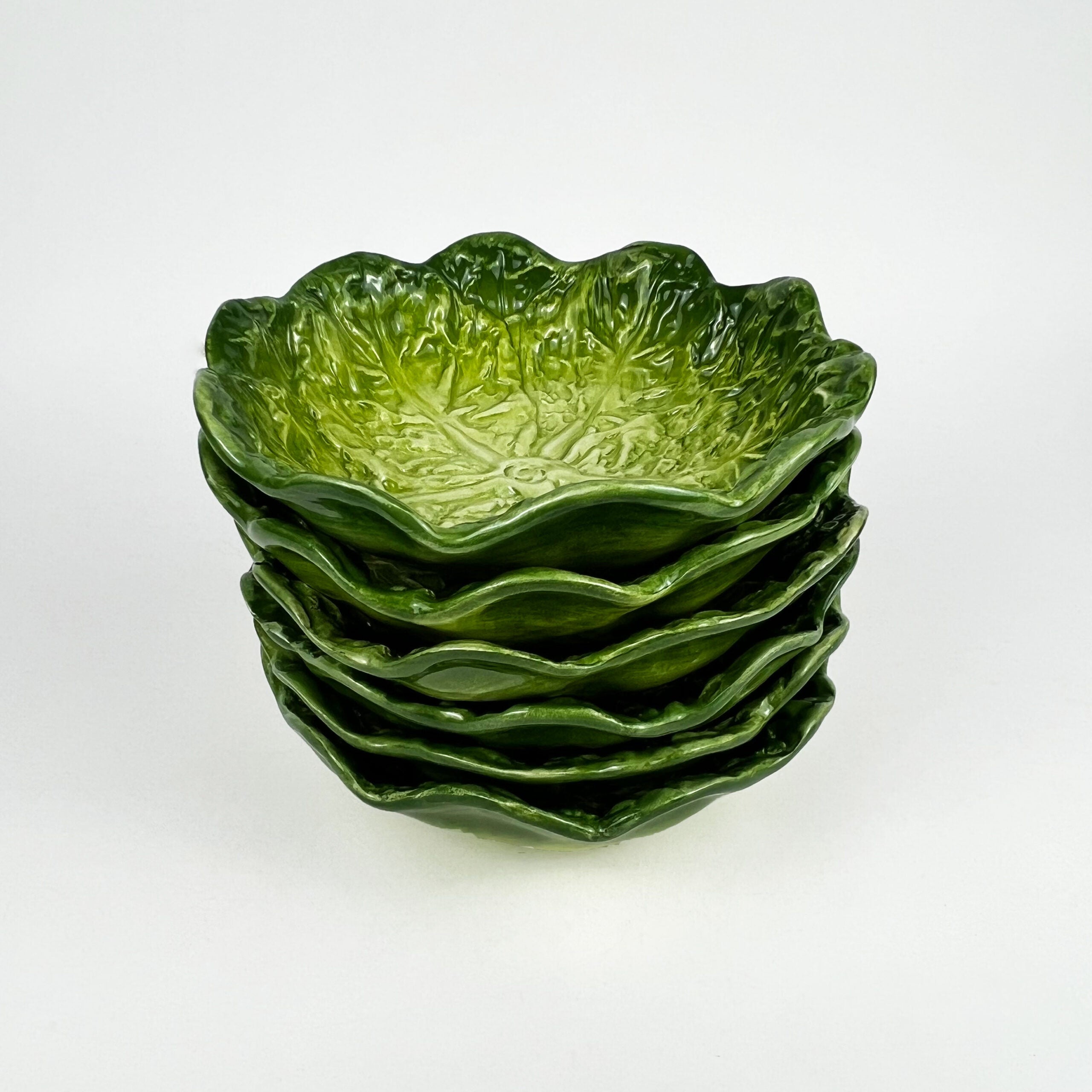 SET DI 6 BOLETTI "CAVOLO VERZA VERDE"