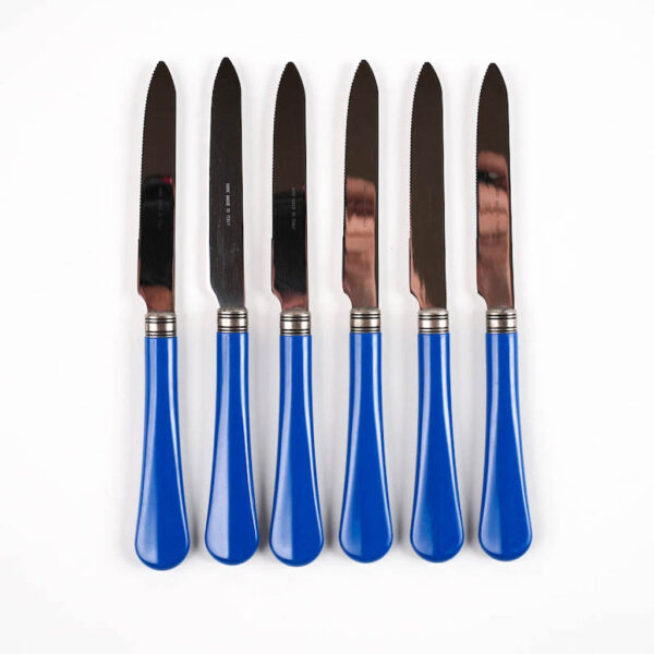 set coltelli blu