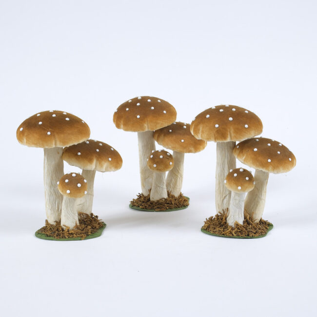 funghi-cannella